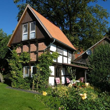 Neu! Bauern-Speicher Anno 1606 Wienhausen Extérieur photo