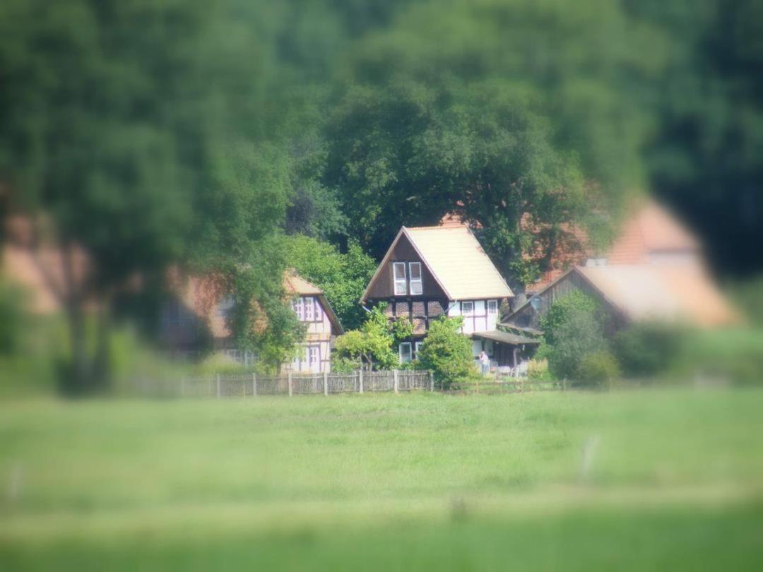 Neu! Bauern-Speicher Anno 1606 Wienhausen Extérieur photo